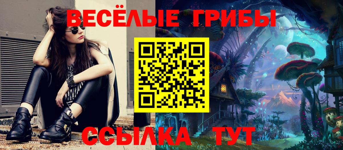 Галлюциногенные грибы мухоморы Всеволожск