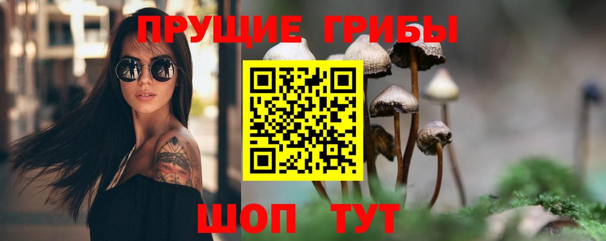 Псилоцибиновые грибы прущие грибы  Вход с VPN  Всеволожск 